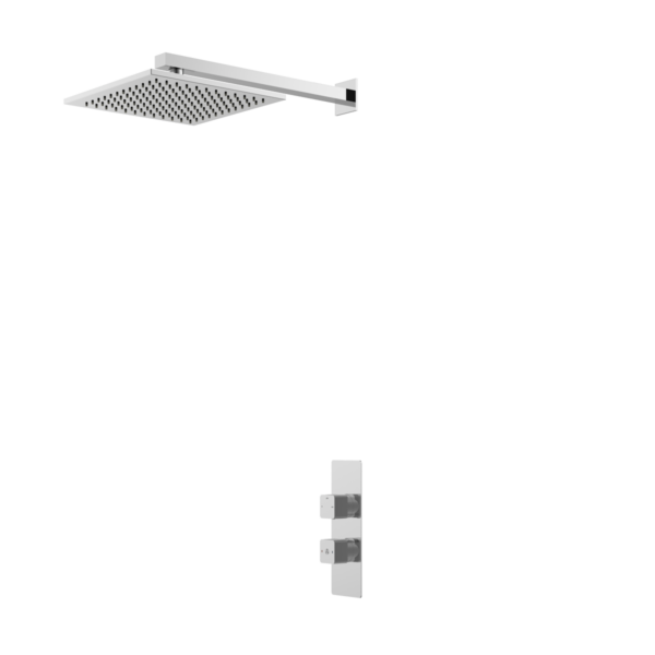 Encore II Concealed Shower